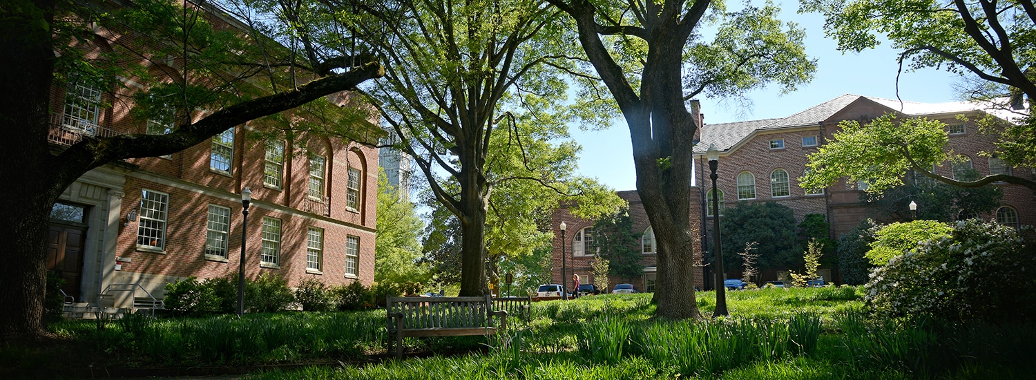 Yarborough greenspace on NC State campus.